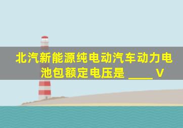 北汽新能源纯电动汽车动力电池包额定电压是 ____ V